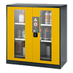 Chemikalienschrank mit Flügeltür und Glasausschnitt, B 1055 mm Chemikalienschrank mit Flügeltür und Glasausschnitt, B 1055 mm
